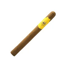 Partagas No. 10