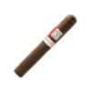 Bold by Nish Robusto